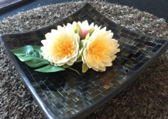 写真 2015-10-28 15 54 06.jpg